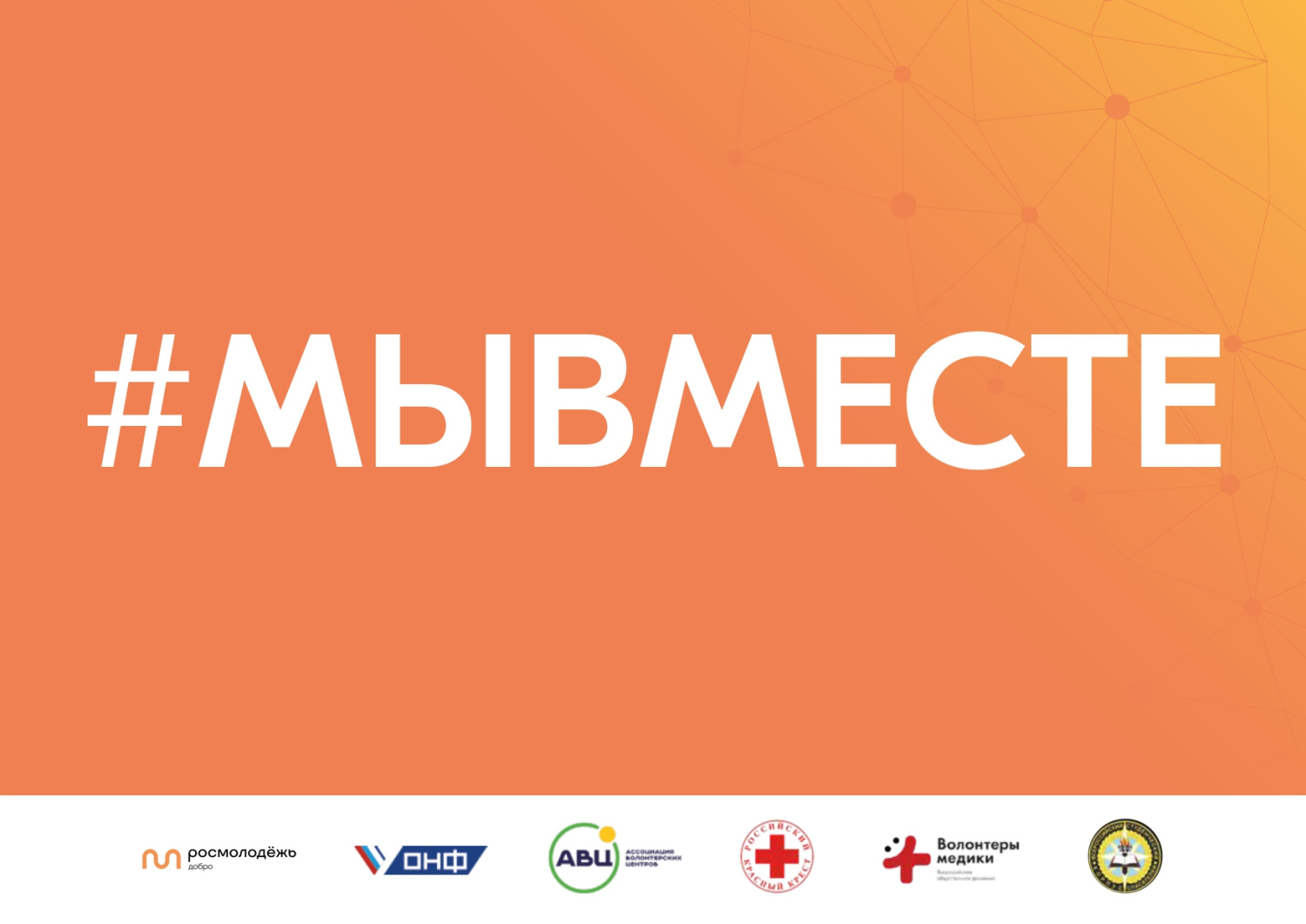 Информация о деятельности штабов #МЫВМЕСТЕ Информация о деятельности штабов #МЫВМЕСТЕ
