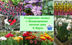 ПОЗДРАВЛЕНИЕ С МЕЖДУНАРОДНЫМ ЖЕНСКИМ ДНЕМ 8 МАРТА!
