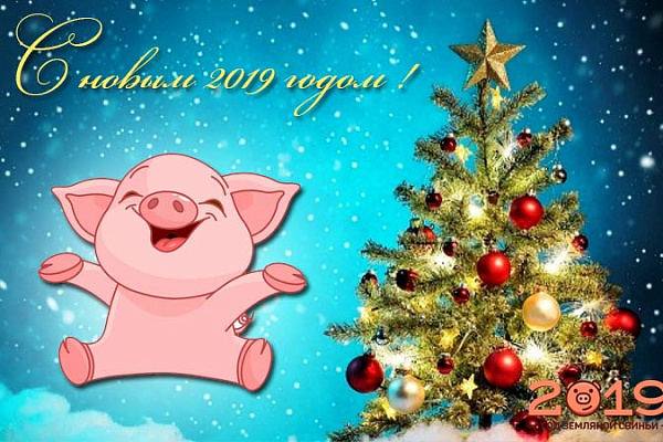 ПОЗДРАВЛЯЕМ С НОВЫМ 2019 ГОДОМ И РОЖДЕСТВОМ ХРИСТОВЫМ!