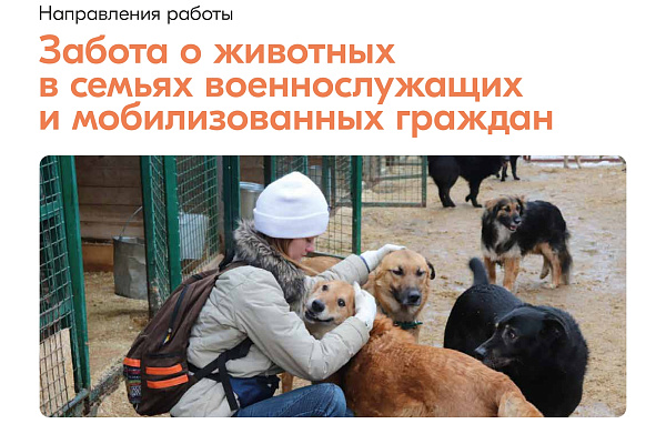 Информация о деятельности штабов #МЫВМЕСТЕ