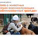 Информация о деятельности штабов #МЫВМЕСТЕ