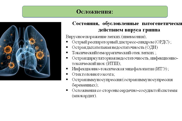 Слайд 12