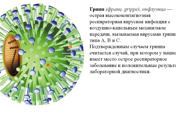 Слайд 3
