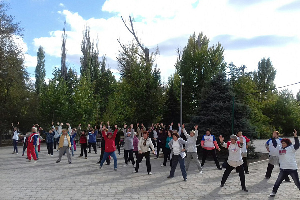 Консультационные площадки для граждан пожилого возраста на празднике «Золотая осень» Краснооктябрьского района Волгограда