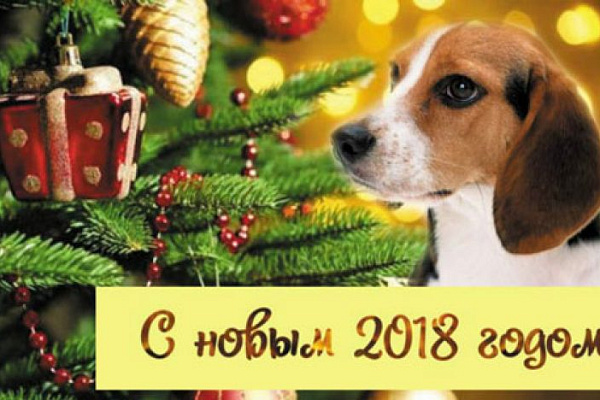 Символ 2018 года - собака.