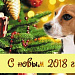 Символ 2018 года - собака.